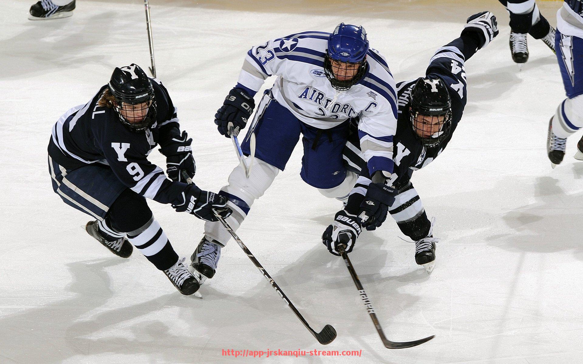JRS低调看球-综合类健身器材生产厂商及其市场定位详解
